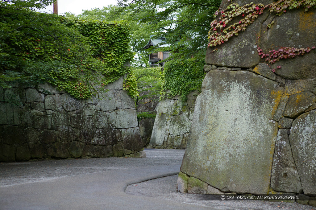 太鼓門虎口