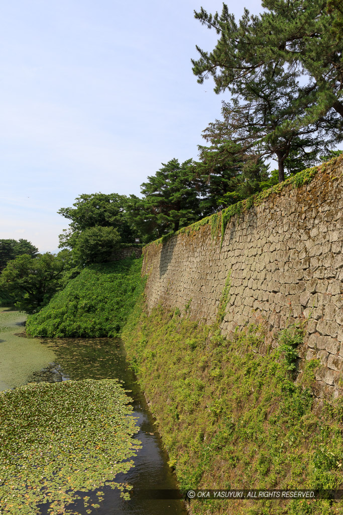 本丸東面石垣・茶壷櫓跡