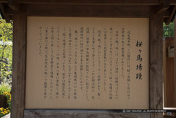 桜ヶ馬場蹟｜高解像度画像サイズ：6720 x 4480 pixels｜写真番号：5D4A0309｜撮影：Canon EOS 5D Mark IV