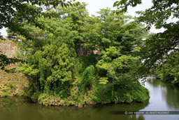 本丸水堀・御弓櫓跡|高解像度画像サイズ:6720 x 4480 pixels|写真番号:5D4A0402|撮影:Canon EOS 5D Mark IV