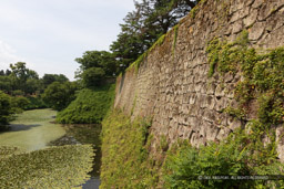 本丸東面石垣と茶壺櫓跡｜高解像度画像サイズ：6452 x 4302 pixels｜写真番号：5D4A0423｜撮影：Canon EOS 5D Mark IV