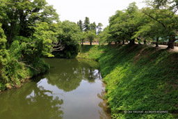本丸水堀・右手が二の丸|高解像度画像サイズ:6559 x 4373 pixels|写真番号:5D4A0434|撮影:Canon EOS 5D Mark IV