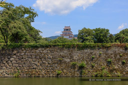 西出丸石垣と天守｜高解像度画像サイズ：6543 x 4362 pixels｜写真番号：5D4A9787｜撮影：Canon EOS 5D Mark IV