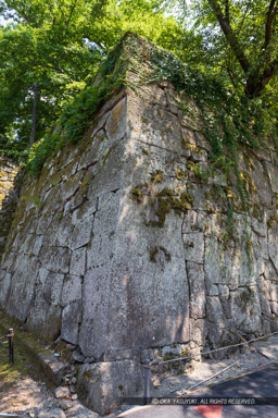 太鼓門虎口の縦石｜高解像度画像サイズ：4480 x 6720 pixels｜写真番号：5D4A9856｜撮影：Canon EOS 5D Mark IV