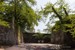横手坂と太鼓門跡｜高解像度画像サイズ：6720 x 4480 pixels｜写真番号：5D4A9858｜撮影：Canon EOS 5D Mark IV