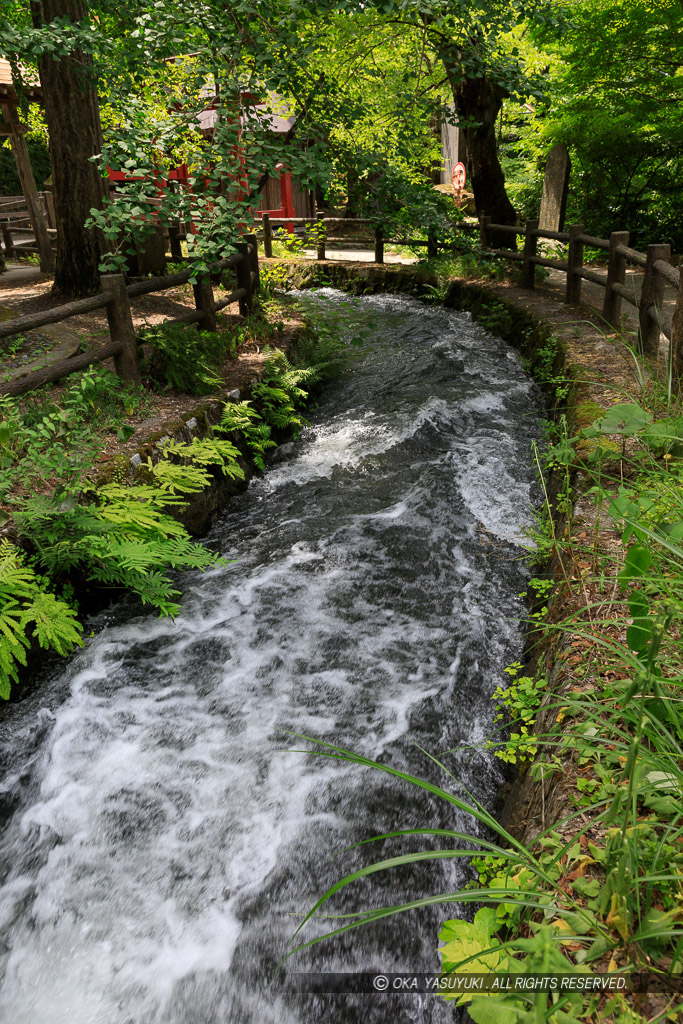 戸ノ口堰用水