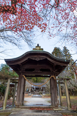 唐門・八王子神社｜高解像度画像サイズ：4480 x 6720 pixels｜写真番号：5D4A4589｜撮影：Canon EOS 5D Mark IV