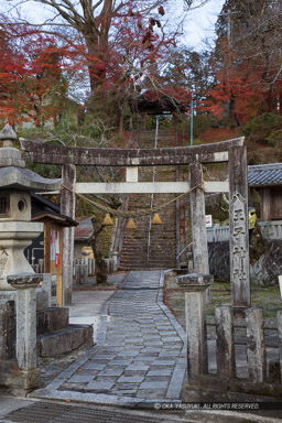 八王子神社｜高解像度画像サイズ：4480 x 6720 pixels｜写真番号：5D4A4592｜撮影：Canon EOS 5D Mark IV