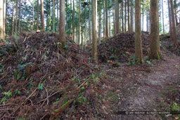 畝状空堀群｜高解像度画像サイズ：6152 x 4101 pixels｜写真番号：5D4A4646｜撮影：Canon EOS 5D Mark IV