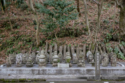 明智氏歴代の墓所・天龍寺｜高解像度画像サイズ：4546 x 3031 pixels｜写真番号：VJ7Z0017｜撮影：Canon EOS-1Ds Mark II