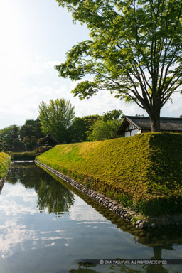 足利学校跡｜高解像度画像サイズ：4320 x 6480 pixels｜写真番号：5DSA5833｜撮影：Canon EOS 5DS