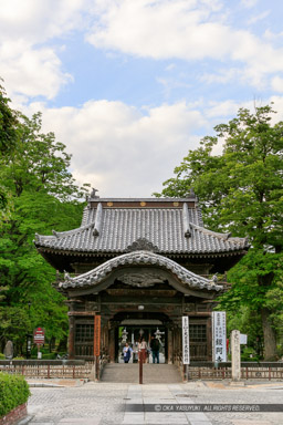 鑁阿寺山門と太鼓橋｜高解像度画像サイズ：4200 x 6300 pixels｜写真番号：5DSA5944｜撮影：Canon EOS 5DS