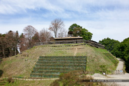 南の丸｜高解像度画像サイズ：5616 x 3744 pixels｜写真番号：1P3J6694｜撮影：Canon EOS-1Ds Mark III