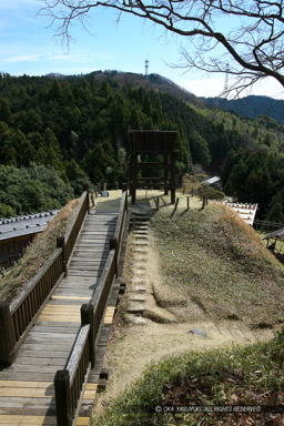 南物見台｜高解像度画像サイズ：3520 x 5279 pixels｜写真番号：1P3J6796｜撮影：Canon EOS-1Ds Mark III