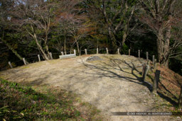 ｜高解像度画像サイズ：5616 x 3744 pixels｜写真番号：1P3J6867｜撮影：Canon EOS-1Ds Mark III