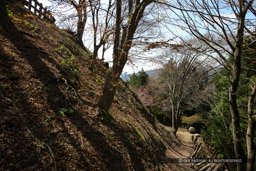 切岸｜高解像度画像サイズ：5616 x 3744 pixels｜写真番号：1P3J6881｜撮影：Canon EOS-1Ds Mark III