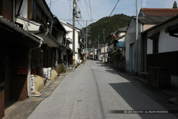 中馬街道｜高解像度画像サイズ：5616 x 3744 pixels｜写真番号：1P3J6977｜撮影：Canon EOS-1Ds Mark III