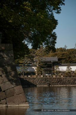 ｜高解像度画像サイズ：2704 x 4064 pixels｜写真番号：100-2603S53B｜撮影：Canon EOS-1DS