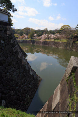 北桔橋門から乾堀(三日月堀)|高解像度画像サイズ:3648 x 5472 pixels|写真番号:IMG_3674|撮影:Canon EOS 6D