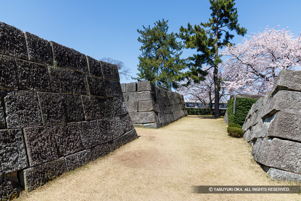 福井城天守台