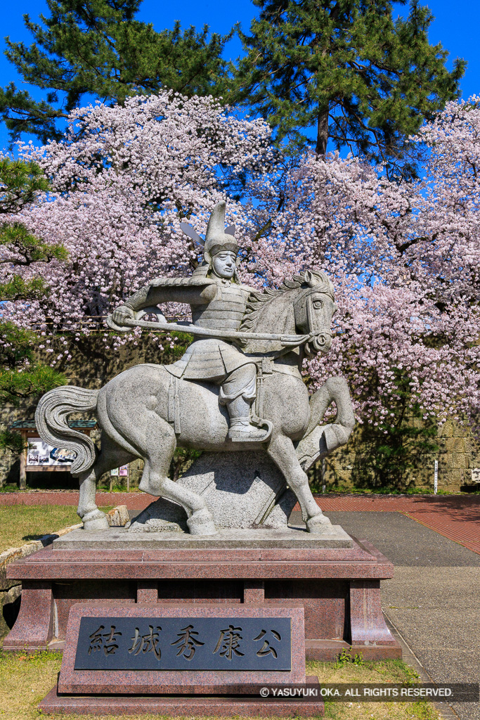 結城秀康石像・福井城・桜