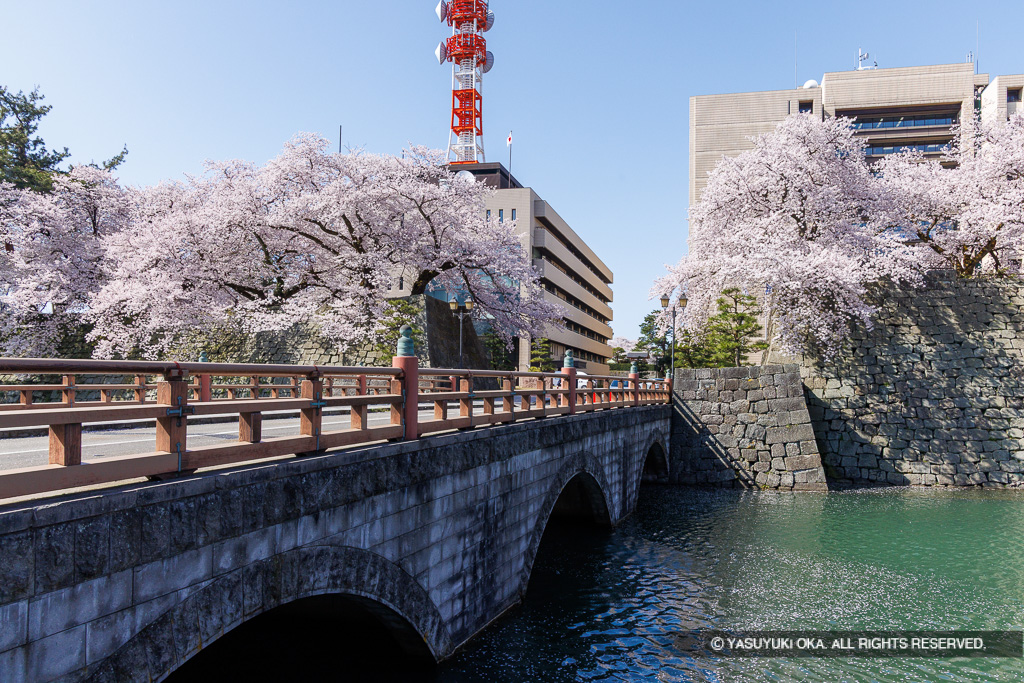 瓦御門跡・御本城橋・桜