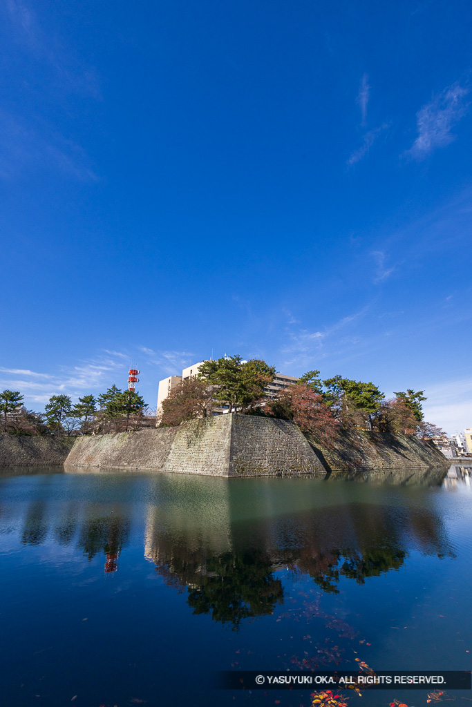 本丸石垣と水堀・紅葉