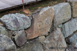 福井城石垣・刻印石（北ノ庄城跡） | 高解像度画像サイズ：5184 x 3456 pixels | 写真番号：1DX_6019 | 撮影：Canon EOS-1D X