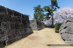 福井城天守台 | 高解像度画像サイズ:8192 x 5464 pixels | 写真番号:344A1103 | 撮影:Canon EOS R5