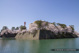 桜の城景 | 高解像度画像サイズ：8192 x 5464 pixels | 写真番号：344A1110 | 撮影：Canon EOS R5