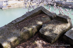 瓦御門跡石垣天端石・瓦御門渡櫓跡 | 高解像度画像サイズ：8192 x 5464 pixels | 写真番号：344A1159 | 撮影：Canon EOS R5