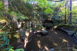 丹厳洞・笏谷石・石丁場（採掘場）・足羽山 | 高解像度画像サイズ：8192 x 5464 pixels | 写真番号：344A3317 | 撮影：Canon EOS R5