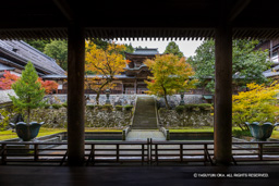 永平寺 | 高解像度画像サイズ：8192 x 5464 pixels | 写真番号：344A3534-Edit | 撮影：Canon EOS R5