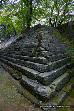 雁木・本丸内側塁壁 | 高解像度画像サイズ:2704 x 4064 pixels | 写真番号:53BS5918 | 撮影:Canon EOS-1DS