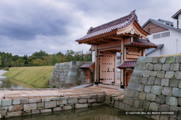 舎人門 | 高解像度画像サイズ:4064 x 2704 pixels | 写真番号:53BS6910 | 撮影:Canon EOS-1DS