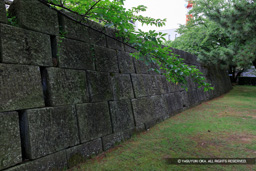 天守台西面 | 高解像度画像サイズ:6624 x 4416 pixels | 写真番号:5D4A8027 | 撮影:Canon EOS 5D Mark IV