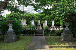 橋本左内の墓 | 高解像度画像サイズ：6119 x 4079 pixels | 写真番号：5D4A9722 | 撮影：Canon EOS 5D Mark IV