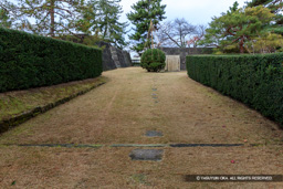 敷石? | 高解像度画像サイズ:7861 x 5241 pixels | 写真番号:5DSA2575 | 撮影:Canon EOS 5DS