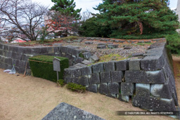 控え天守台 | 高解像度画像サイズ:8320 x 5547 pixels | 写真番号:5DSA2584 | 撮影:Canon EOS 5DS
