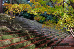 雁木・本丸北側 | 高解像度画像サイズ:8688 x 5792 pixels | 写真番号:5DSA2600 | 撮影:Canon EOS 5DS