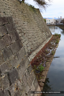 本丸犬走り | 高解像度画像サイズ:5792 x 8688 pixels | 写真番号:5DSA2642 | 撮影:Canon EOS 5DS