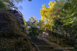 大手門 | 高解像度画像サイズ:8192 x 5464 pixels | 写真番号:344A4810 | 撮影:Canon EOS R5
