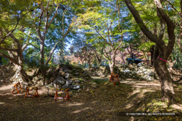 本丸中仕切門 | 高解像度画像サイズ:8192 x 5464 pixels | 写真番号:344A4814 | 撮影:Canon EOS R5