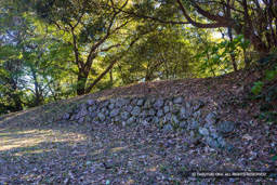 土塁 | 高解像度画像サイズ:8192 x 5464 pixels | 写真番号:344A4840 | 撮影:Canon EOS R5