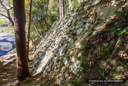 西の丸石垣 | 高解像度画像サイズ:8192 x 5464 pixels | 写真番号:344A4855 | 撮影:Canon EOS R5