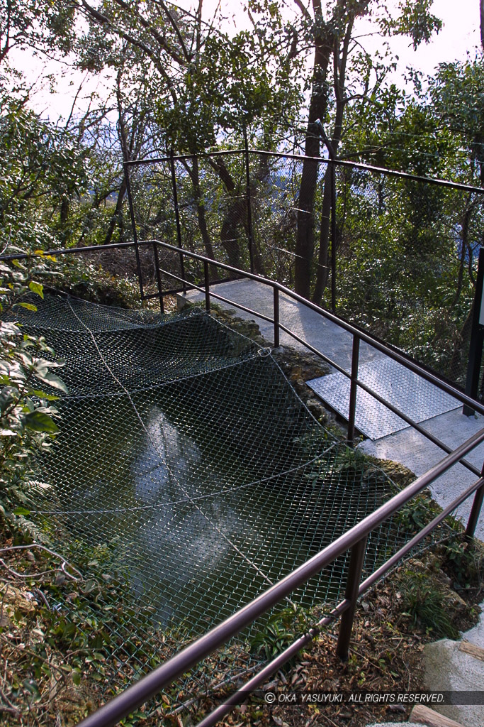 金銘水井戸