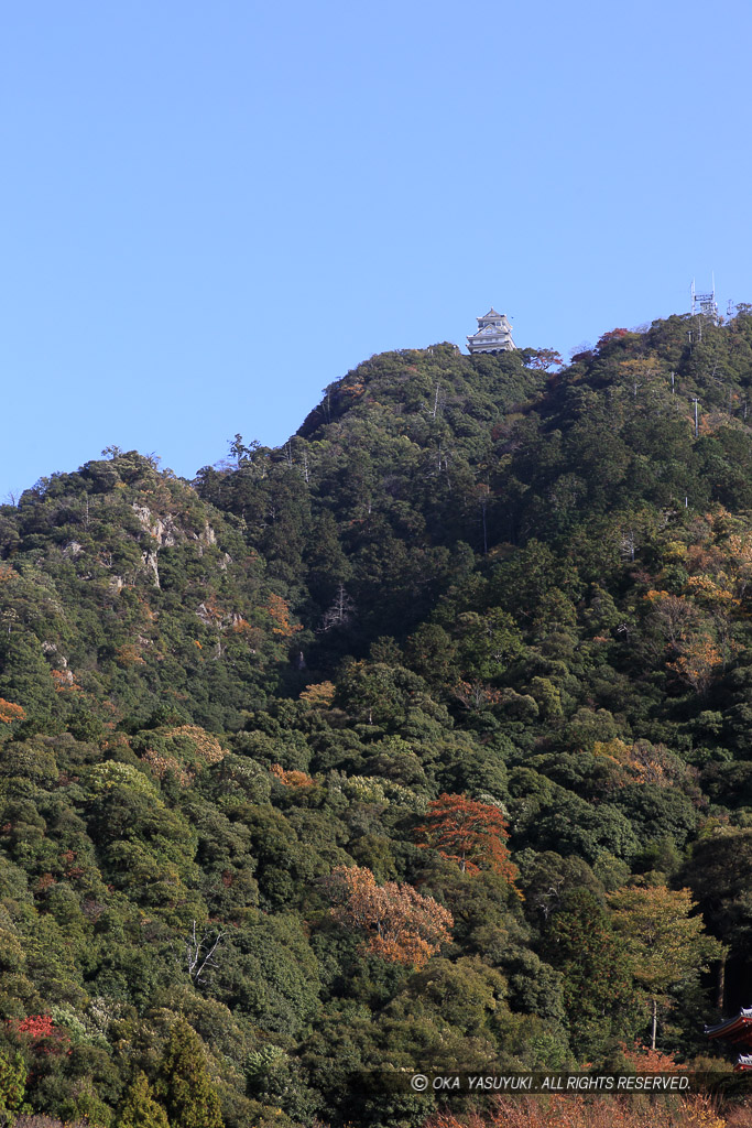 岐阜城遠景