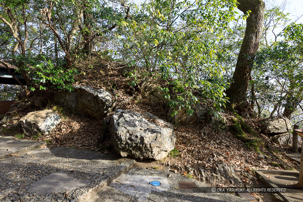 岐阜城伝一ノ門跡石垣