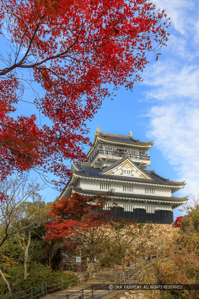 岐阜城の紅葉