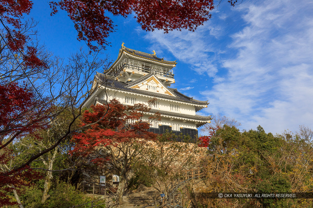 岐阜城の紅葉